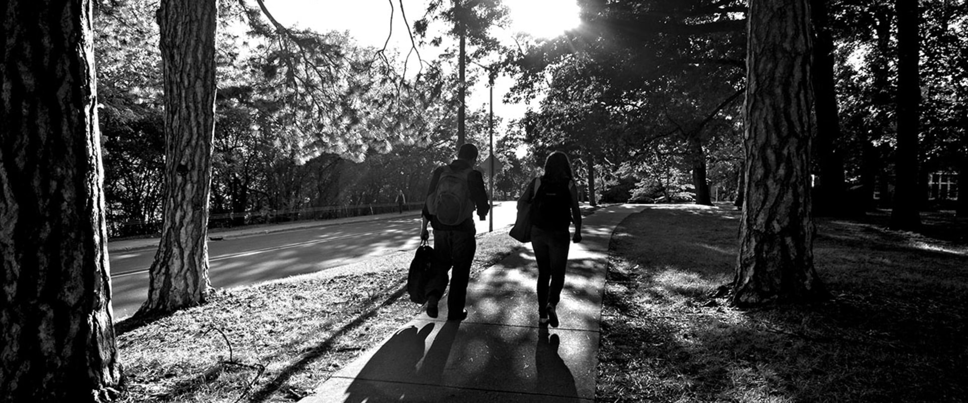 Exploring Social Justice Organizations at Michigan State University: A Guide for International Students