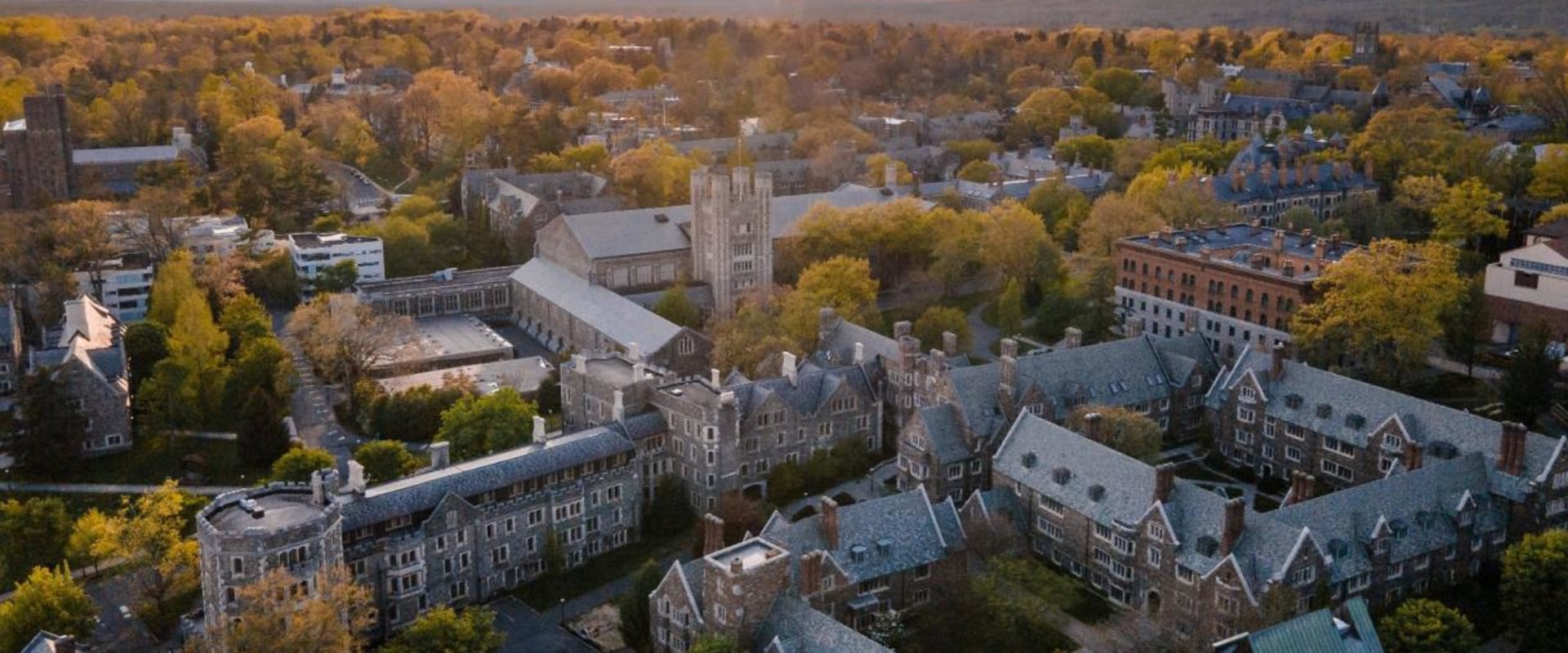 Discovering Honors Societies at Michigan State University