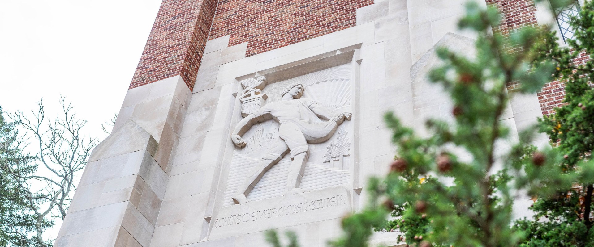 Exploring International Student Scholarships at Michigan State University