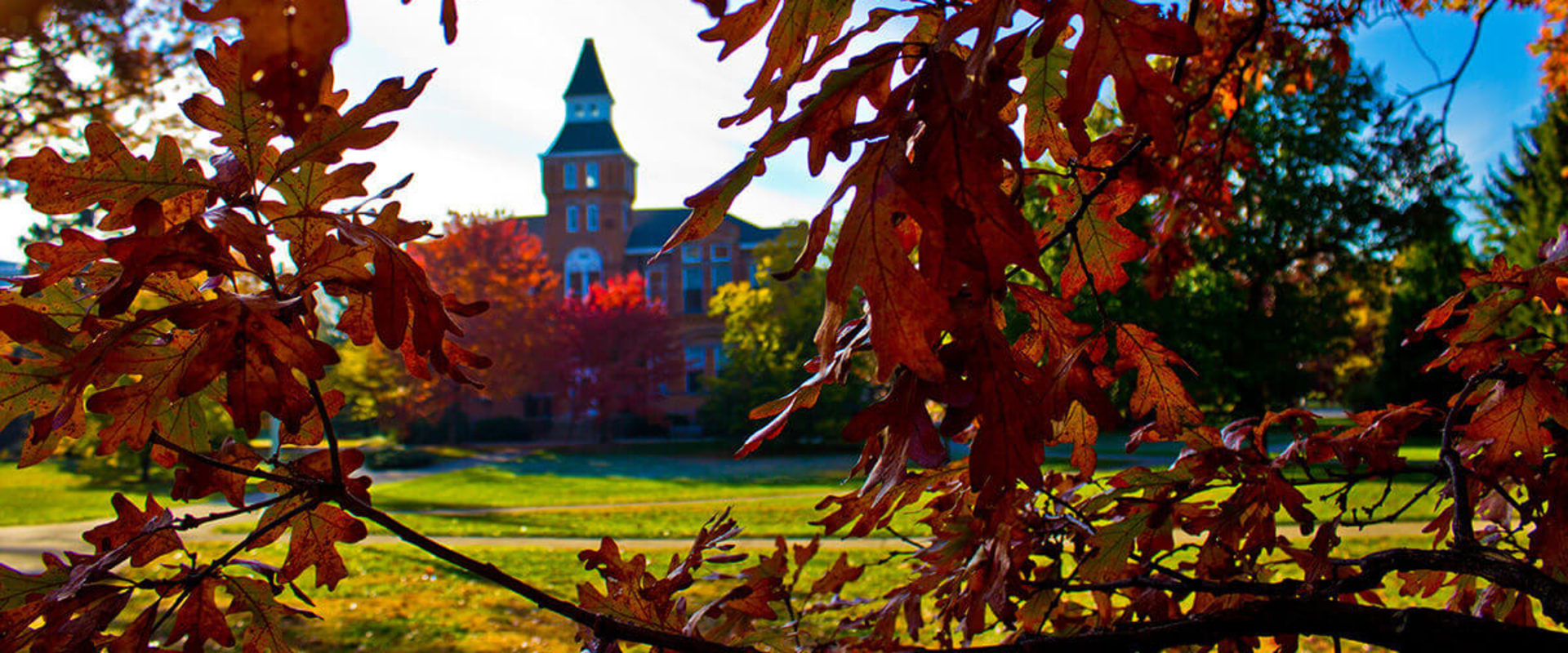 Admissions at MSU: A Comprehensive Guide to Deadlines and Important Dates for International Students