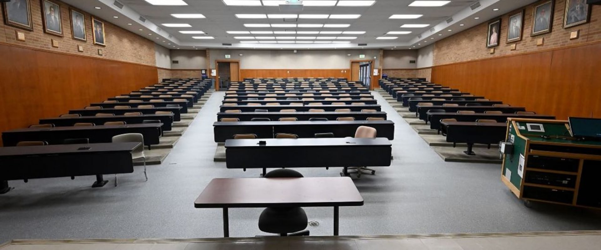 Exploring Michigan State University's Online Course Offerings