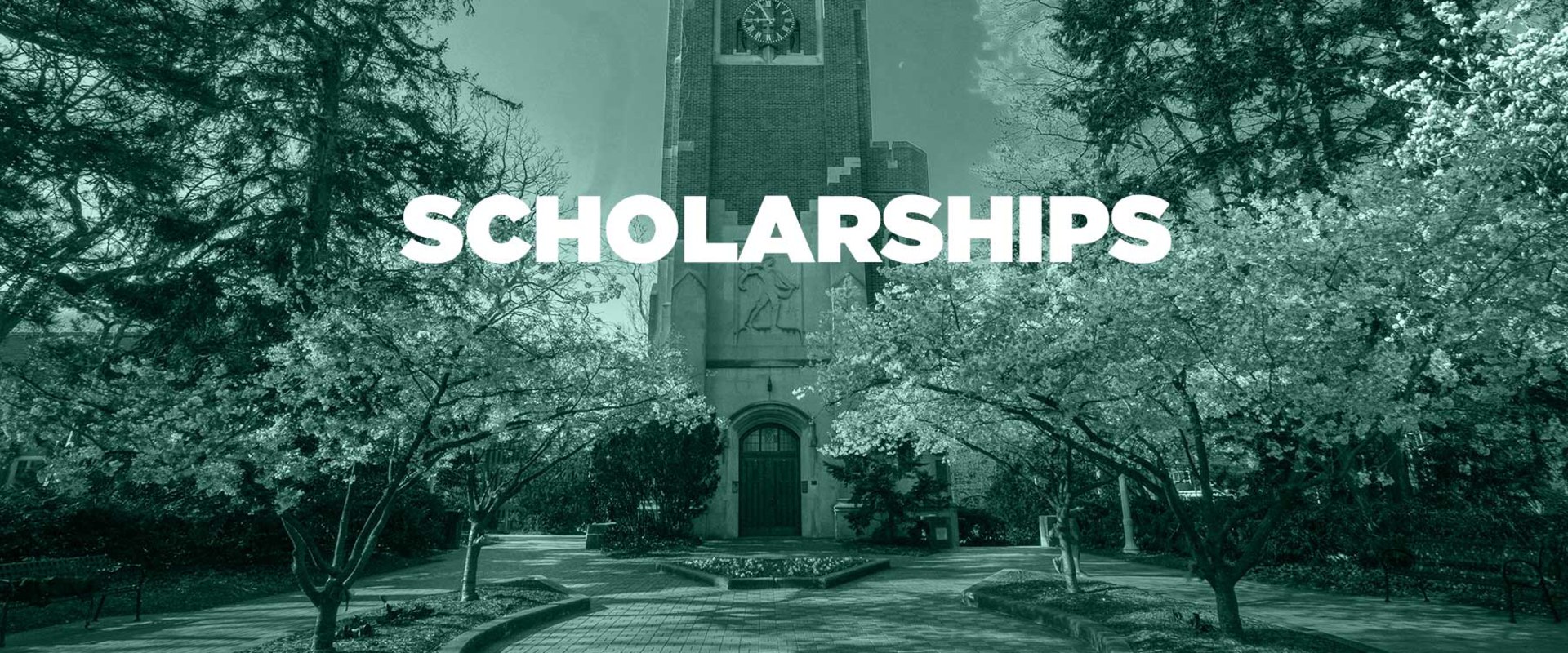 Grants and Work Study Programs: A Guide for International Students at Michigan State University