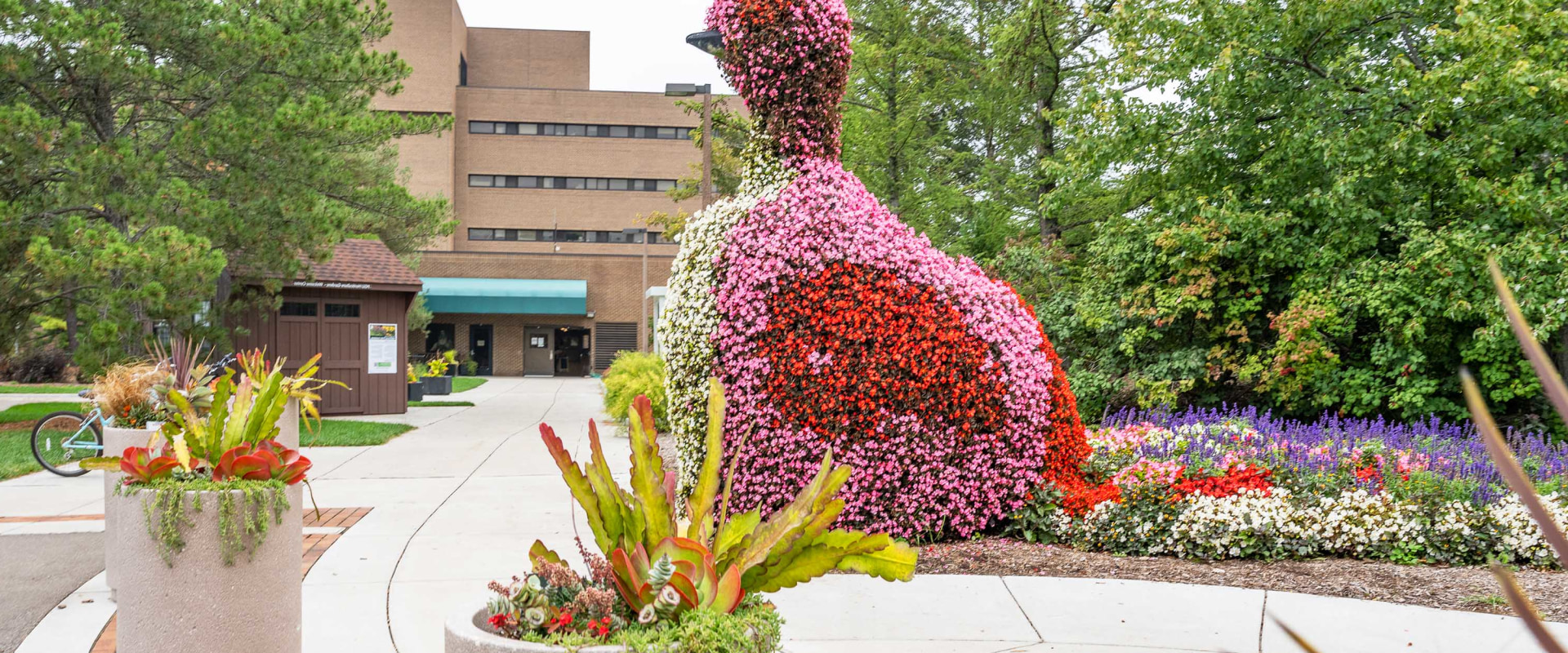 A Complete Guide to Virtual Campus Tours at Michigan State University for International Students