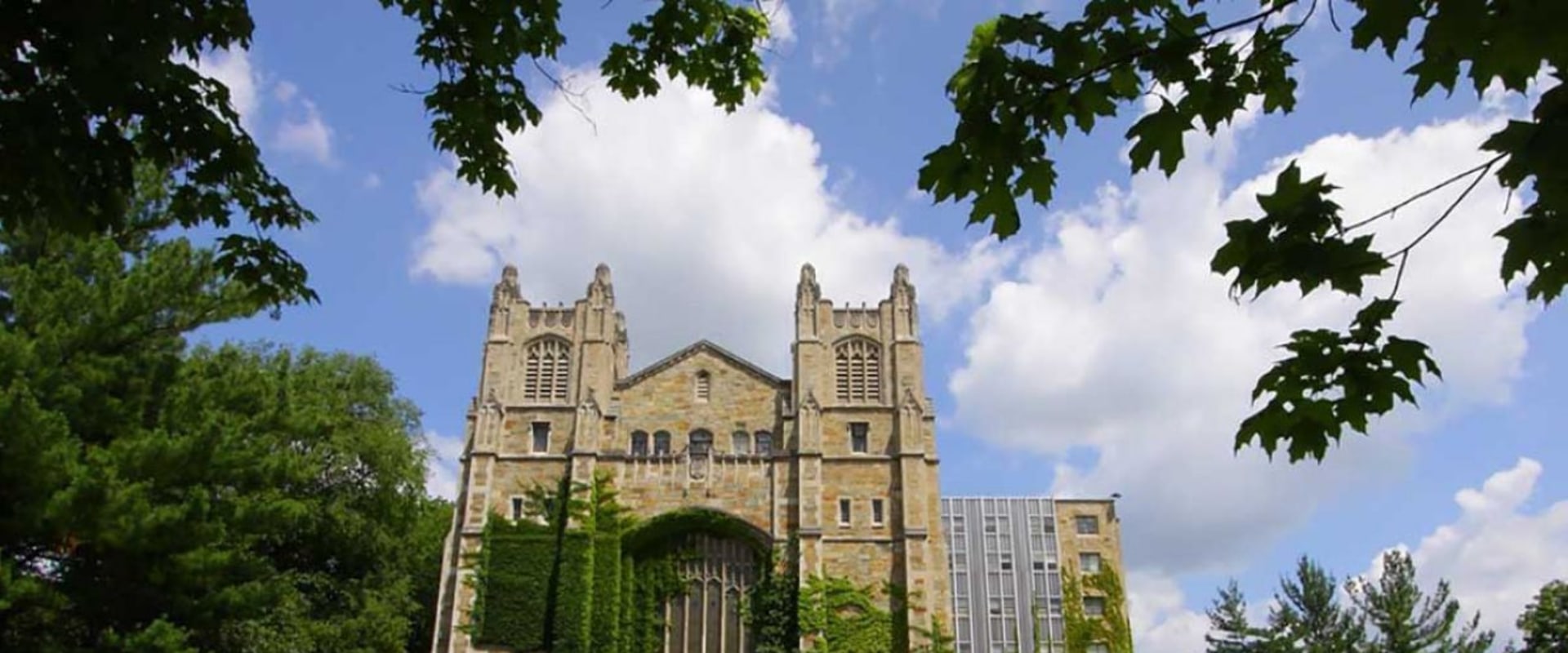 Leadership Scholarships at Michigan State University