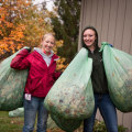 Exploring Community Service Opportunities at Michigan State University