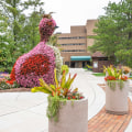 A Complete Guide to Virtual Campus Tours at Michigan State University for International Students