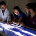 A Comprehensive Guide to Mental Health Resources for International Students at MSU