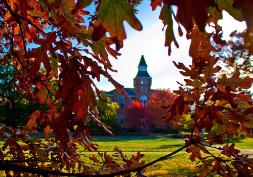 Exploring Majors and Minors Offered at Michigan State University