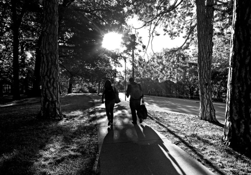 Exploring Social Justice Organizations at Michigan State University: A Guide for International Students