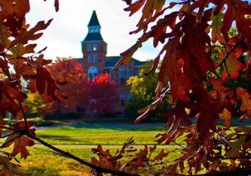A Comprehensive Guide to Doctoral Programs at Michigan State University for International Students