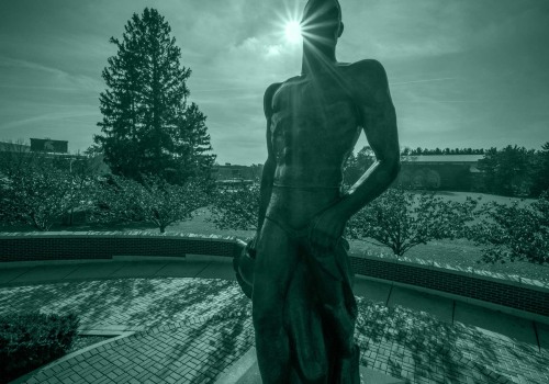 Academic Scholarships at Michigan State University for International Students